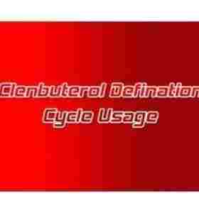 Clenbuterol Definition Cycle Clenbuterol Definition Cycle