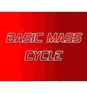 Basic Mass Steroid Cycle for sale Buy Basic Mass Steroid Cycle