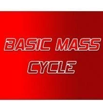 Basic Mass Steroid Cycle