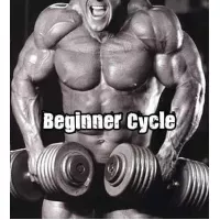 Beginner Steroid Cycle