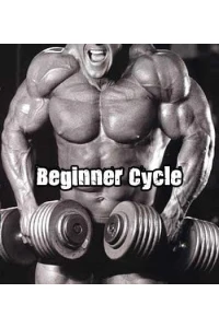 Beginner Steroid Cycle