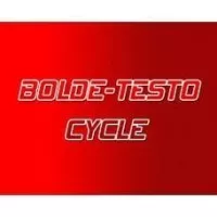 Bolde - Testo Cycle