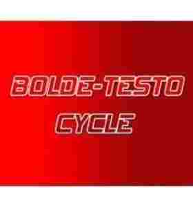 Bolde - Testo Cycle