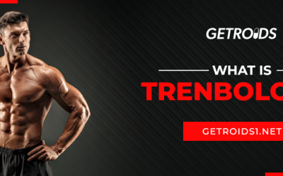 What is Trenbolone?