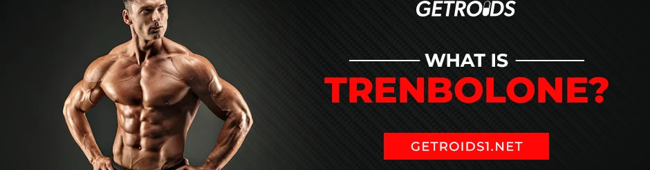 What is Trenbolone?