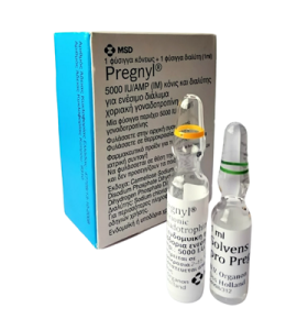 HCG 5000 IU MSD Greece HCG 5000 IU MSD Greece