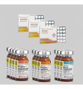 Beligas 12 weeks Competition Prep Stack Plus Anti Estrogen – Int -