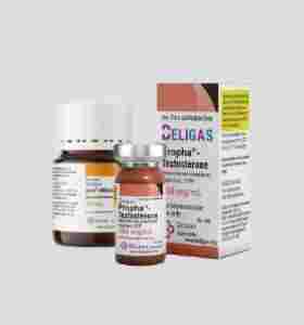 Testosterone Propionate & Winstrol Cycle Beligas USA