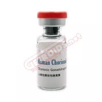 Hcg Human Chorionic Gonadotropin 5000 IU Beligas Pharma USA