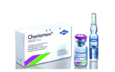 Make the consumption of HCG supplements and get rid of obesity swiftly