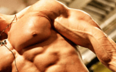 Everything that you should know about steroid cycles for beginners