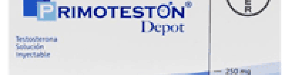 Everything about Primoteston that you want to know