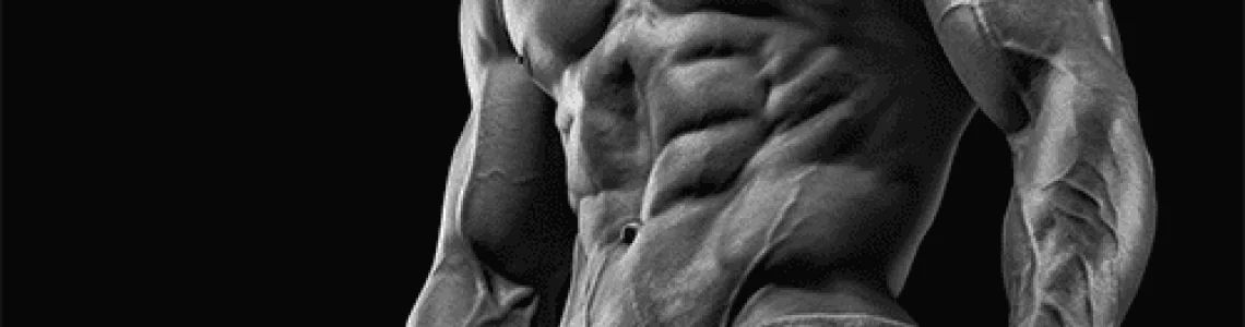 Consume the synthetic version of Testosterone and find your muscles big and strong Consume the synthetic version of Testosterone and find your muscles big and strong