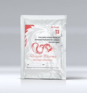 T3 25 mcg 100 Tablets Dragon Pharma T3 25 mcg 100 Tablets Dragon Pharma