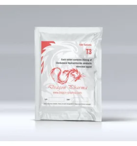 T3 25 mcg 100 Tablets Dragon Pharma - DPT3 T3 25 mcg 100 Tablets Dragon Pharma - DPT3 - Dragon Pharma