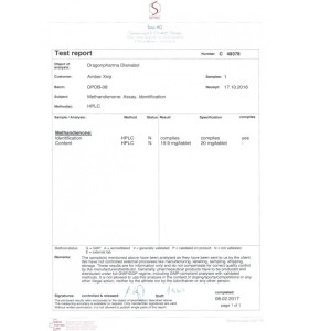 Dianabol 20 mg 100 Tablets Dragon Pharma