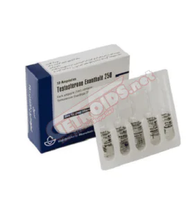 Testosterone Enanthate 1 amp 250 mg Aburaihan - ABUTE Testosterone Enanthate 1 amp 250 mg Aburaihan - ABUTE - Aburaihan