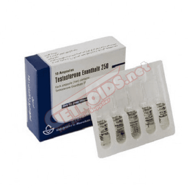 Testosterone Enanthate 1 amp 250 mg Aburaihan