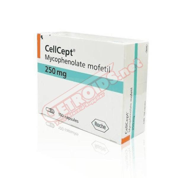 CellCept 250mg 250 mg 100 Tablets Roche