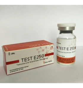 Test E 2500 Mg 10 Ml Maha Pharma - te-mh - Maha Pharma