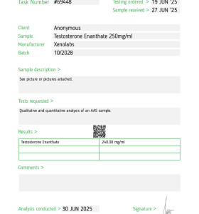 Testosterone Enanthate 250 mg 10 ml Xeno US