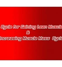 Cycle for Gaining Lean Muscle & Increasing Muscle Mass