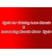 Cycle for Gaining Lean Muscle & Increasing Muscle Mass