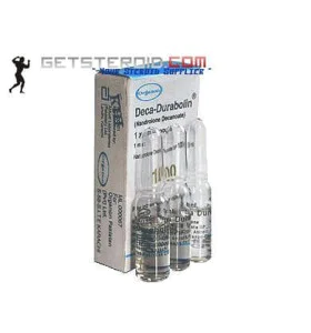 Deca Durabolin PK 100 mg 3 Amps. Organon - NDOR3 Deca Durabolin PK 100 mg 3 Amps. Organon - NDOR3 - Organon
