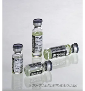 Testo E (Testo Enanthate) 500 Mg 2 Ml Gen-Shi Labs. - te-5-gsl Testo E (Testo Enanthate) 500 Mg 2 Ml Gen-Shi Labs. - te-5-gsl - Gen-Shi Labs.