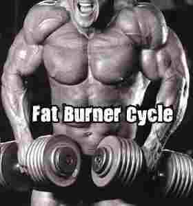 Fat Burner Cycle
