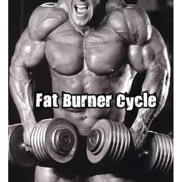 Fat Burner Cycle