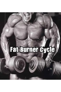 Fat Burner Cycle