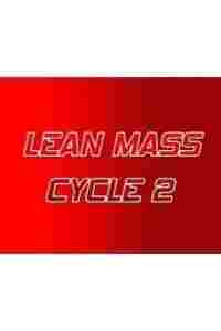 Lean Mass Cycle 2