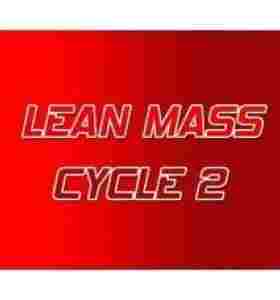 Lean Mass Cycle 2