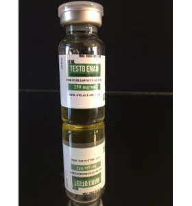 Testosterone Enanthate 250Mg 10 ML Atlas Labs. - te-dom Testosterone Enanthate 250Mg 10 ML Atlas Labs. - te-dom - Atlas Labs.