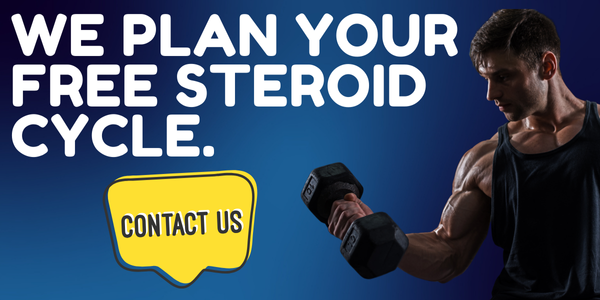 Steroid Cycle Plan Program for Free