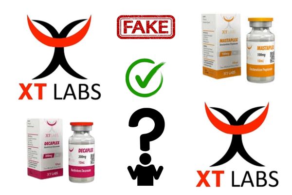 XT LABS STEROIDS REVIEW