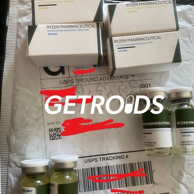 Testosterone Enanthate 250mg 10 ml Ryzen Pharma USA