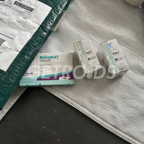 TESTOPLEX - C300 XT Labs USA