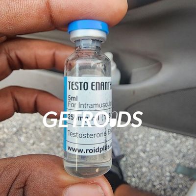 Testo Enanthate 1250 Mg 5 Ml Roid Plus 